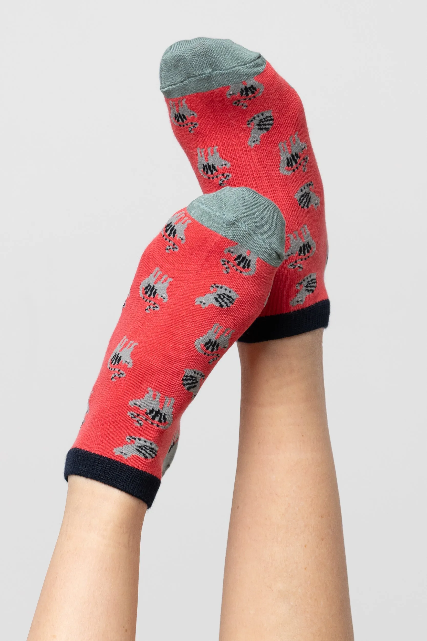 Claudia Cat Trainer Socks and Keyring Giftbox
