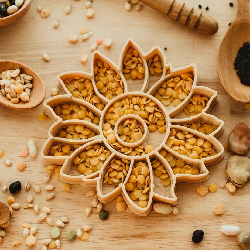 Kinfolk - Sunflower Eco Cutter
