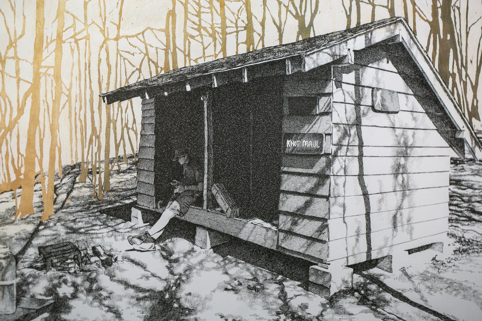 Knob Maul Shelter, Virginia, [ 37.0008, -8140446 ]