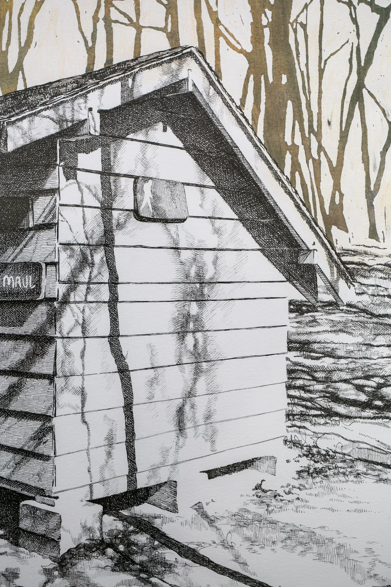 Knob Maul Shelter, Virginia, [ 37.0008, -8140446 ]