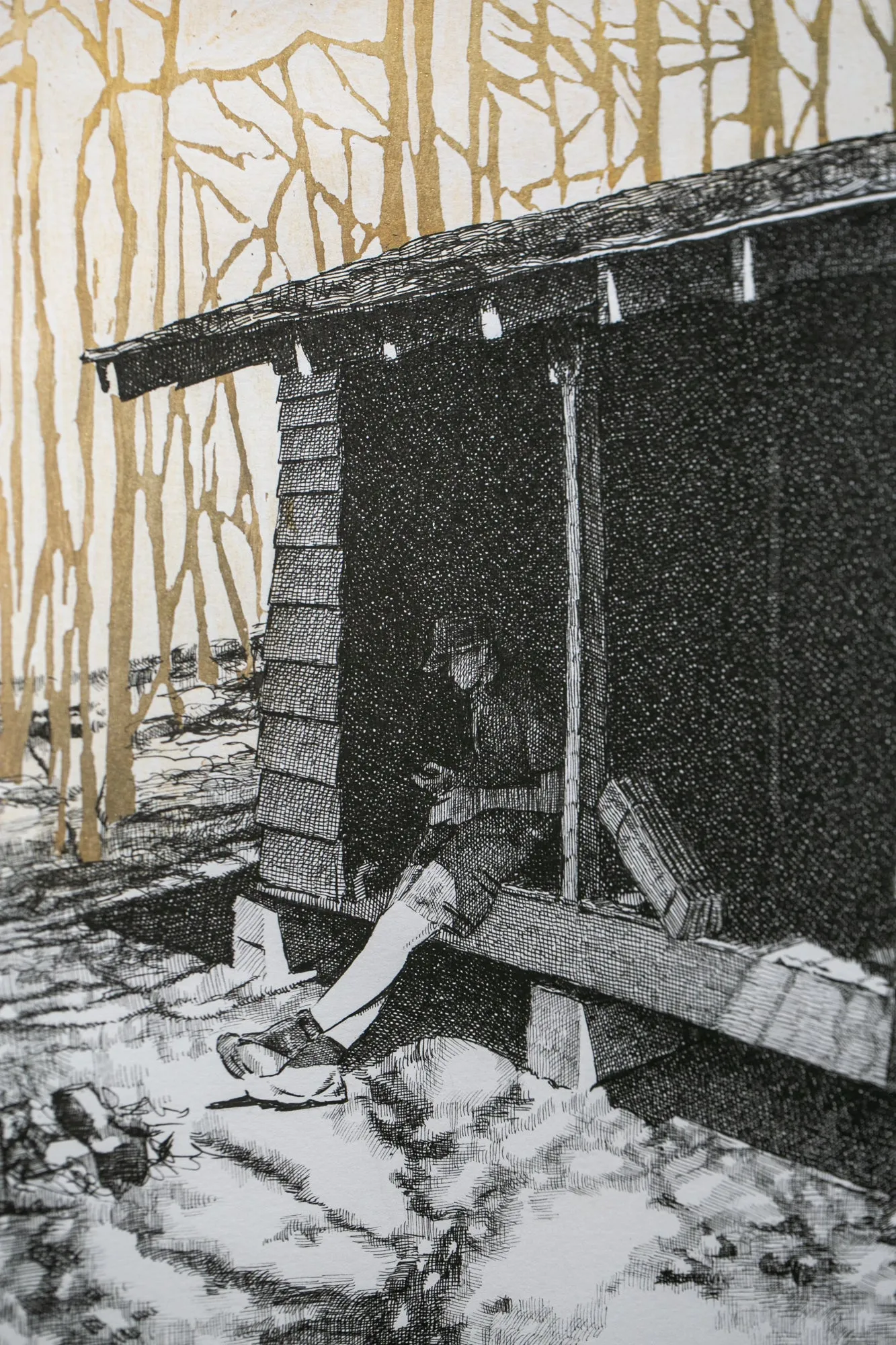 Knob Maul Shelter, Virginia, [ 37.0008, -8140446 ]