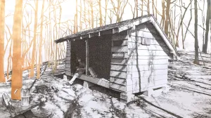 Knob Maul Shelter, Virginia, [ 37.0008, -8140446 ]