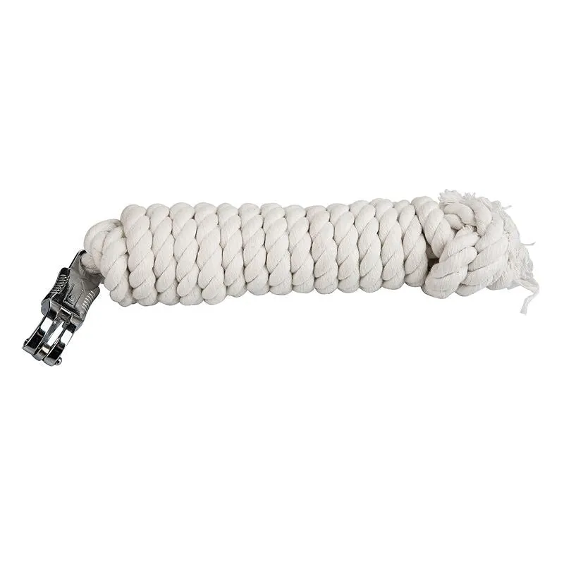 Tabelo Trainers Lead with Quick Release